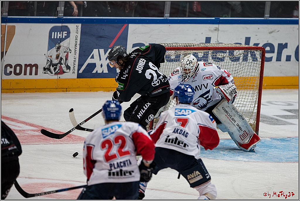DEL, Koelner Haie - Adler Mannheim, 05.02.2017